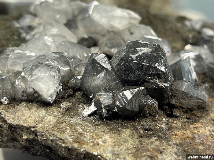 ���������� �������� �������, �������. ���������� ������ ���� (����� ������).