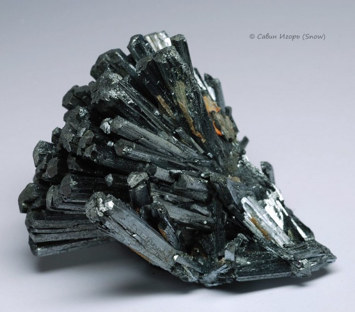 ���������� �������� ���������. Wuning, Jiangxi, China (�����).