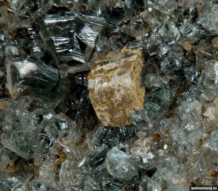 ���������� �������� ���������, ���������. ����������� (Cr) �������������.