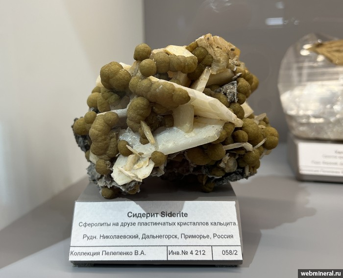 ���������� �������� �������, �������. ������������ ������.