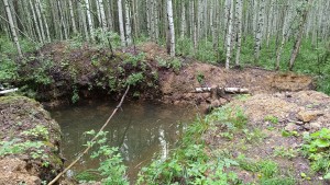 ���� ����������