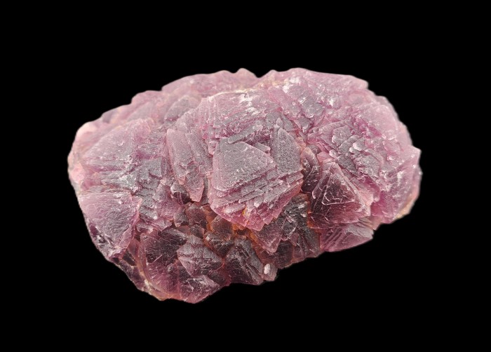 ���������� �������� �������. ��������� �������������.