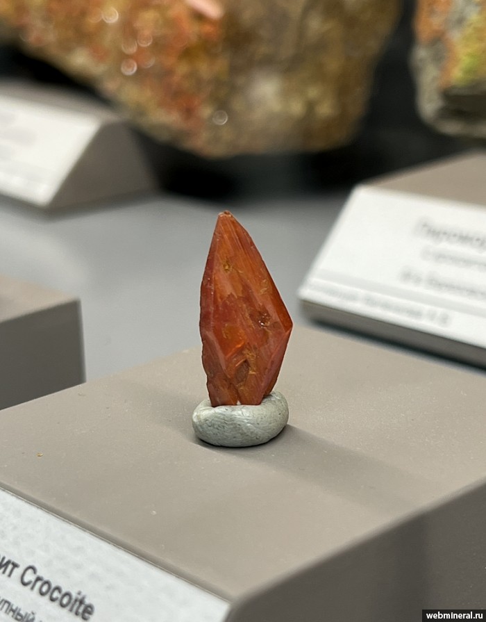 ���������� �������� �������. ����������� ����.