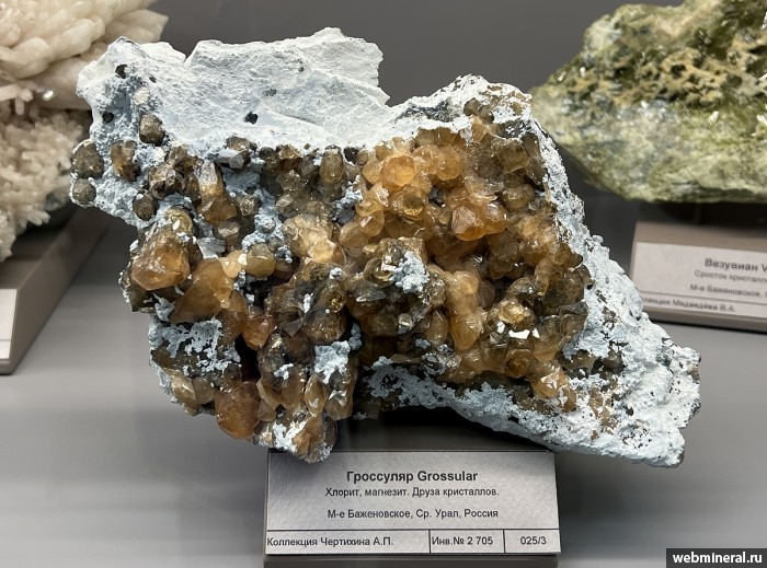 ���������� �������� ���������. ����������� �������������.