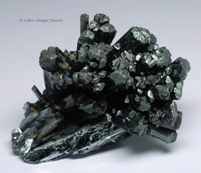 ���������� �������� ���������. Wuning, Jiangxi, China (�����).