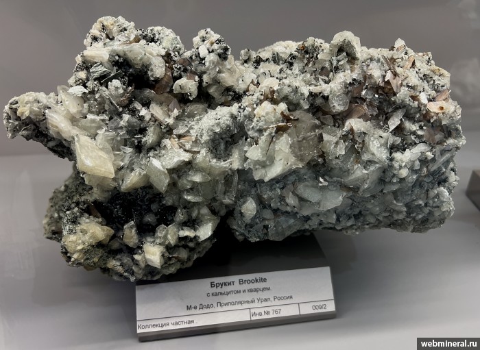 ���������� �������� ������, �������, �����. ���� �������������.