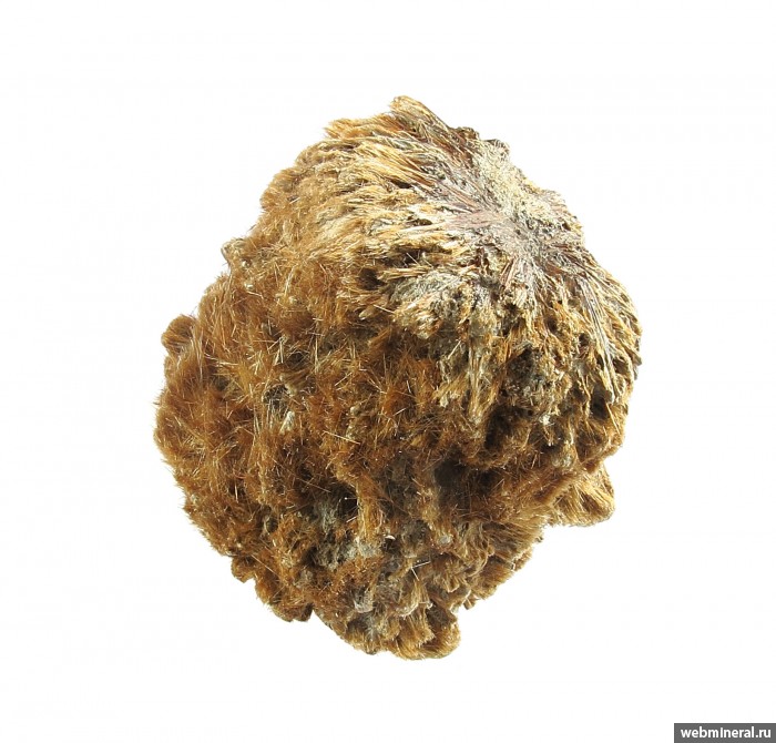 ���������� �������� �����������. ��� ��������.