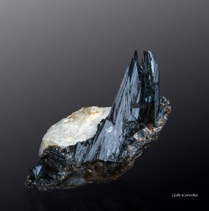 .  (Au) .   . webmineral.ru