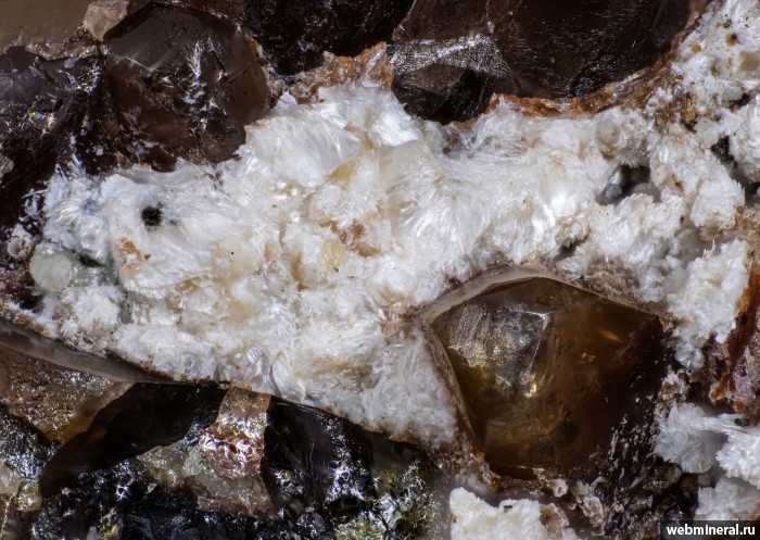 ���������� �������� ����������, ��������, ������. ���� � 5.