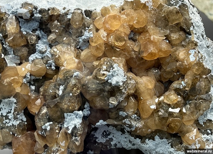 ���������� �������� ���������. ����������� �������������.