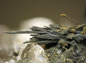 . - (W-Mo) .   . webmineral.ru