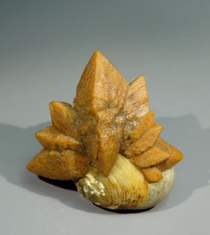 ������� (����. ���������). ������� ����. �������� � �������������. webmineral.ru