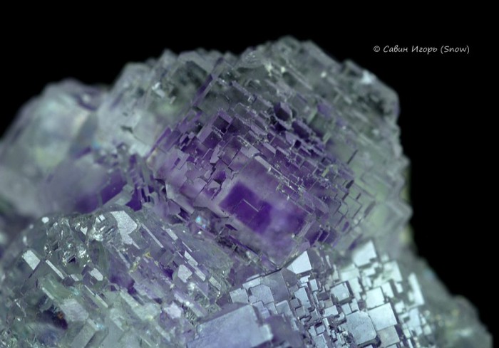 ���������� �������� �������.  Shangbao, Hunan, China (�����).