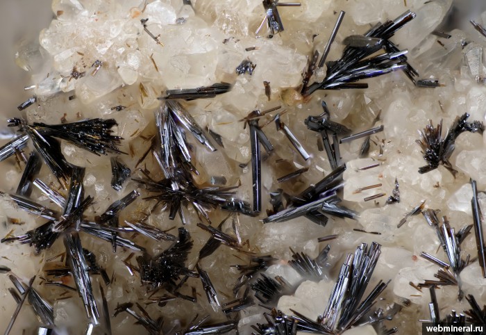 ���������� �������� ø���. ���������� ������ �������������.