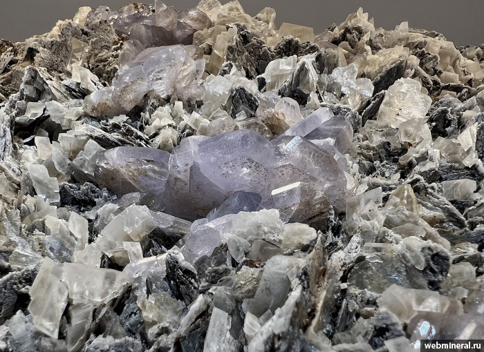 ���������� �������� ����������, �������, ������. ���� �������������.