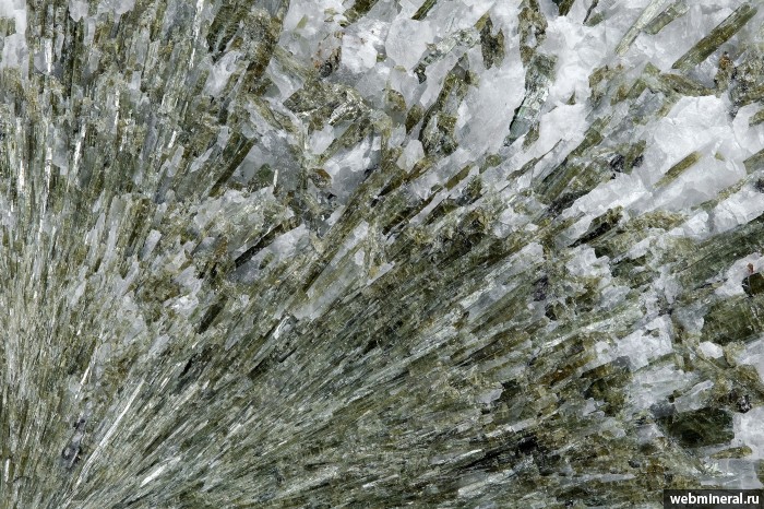 ���������� �������� ��������, �������. ����� ������.