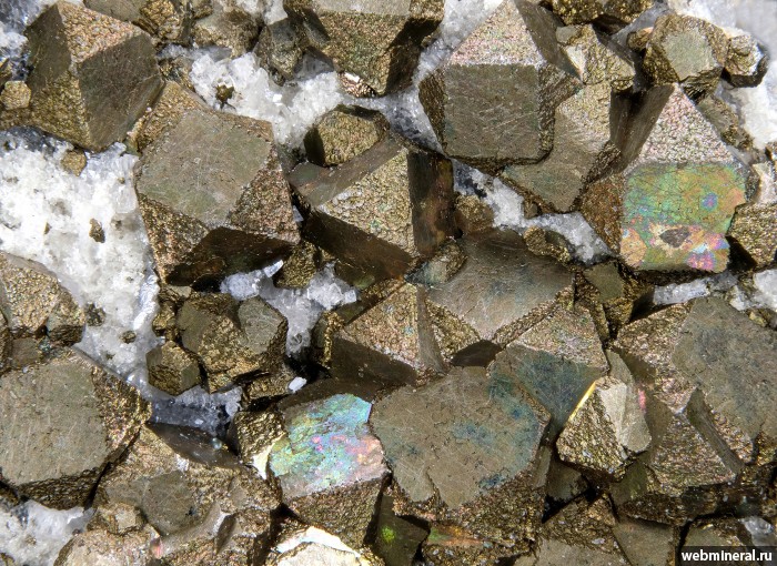 ���������� �������� �����. ������������� �������������.