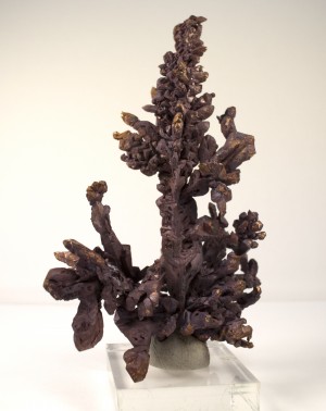 ����. ���������� �������������. �������� � �������������. webmineral.ru