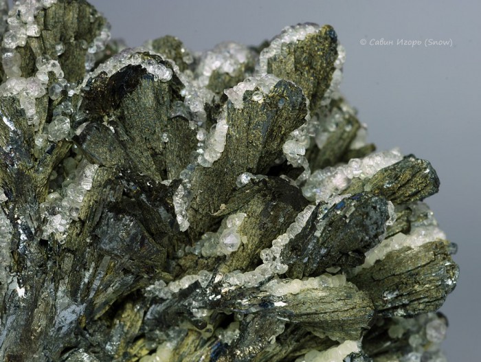 ���������� �������� ���������, �������. Qinglong, Guizhou, China (�����).