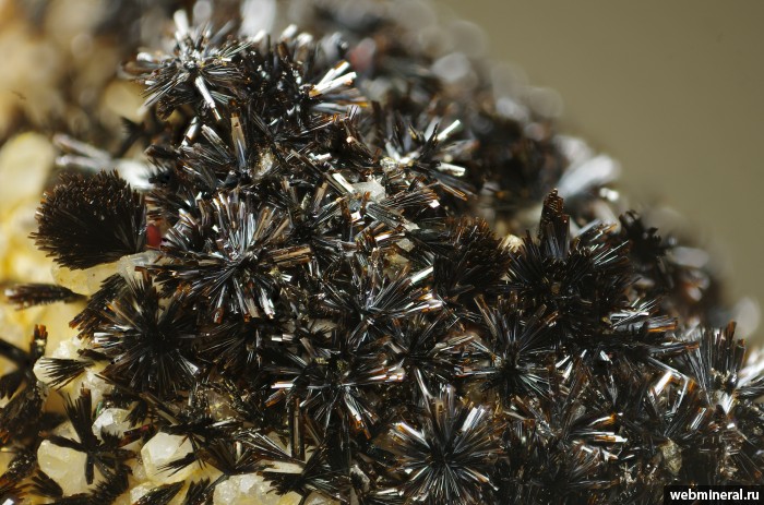 ���������� �������� ø���. ���������� ������ �������������.