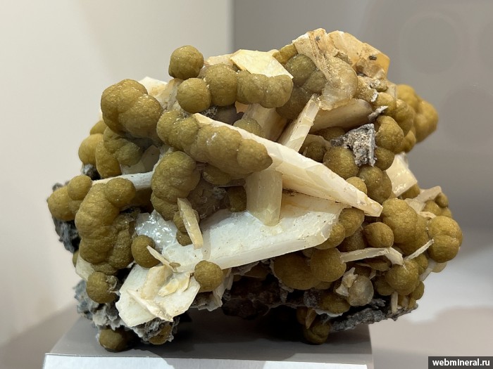 ���������� �������� �������, �������. ������������ ������.