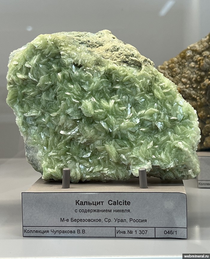 ���������� �������� �������. ���������� (Au) ������������� (������ ����).