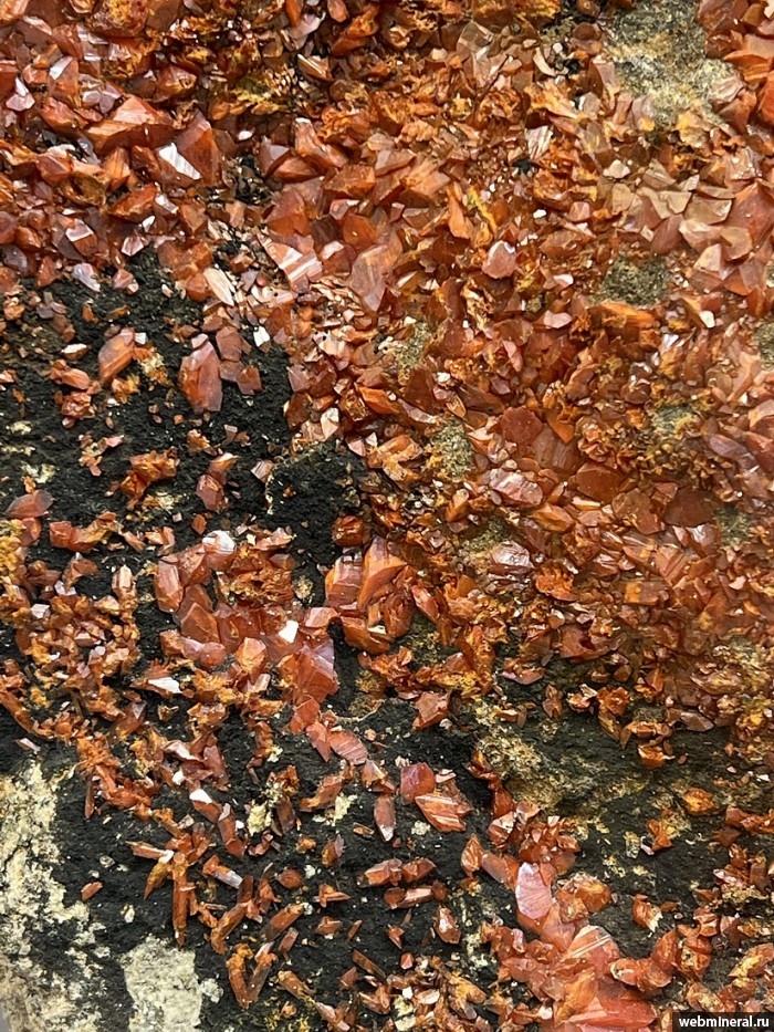 ���������� �������� �������, ���������. ����������� ����.