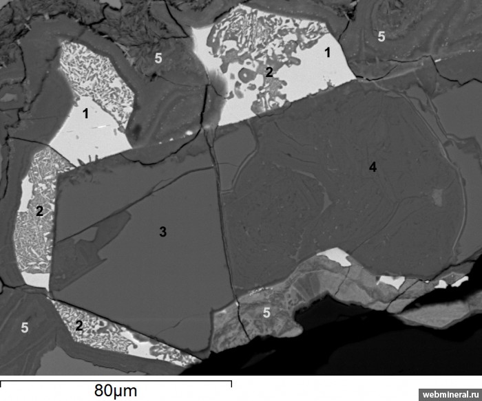 ���������� �������� ���������, �����. �������������� (V) �������������.