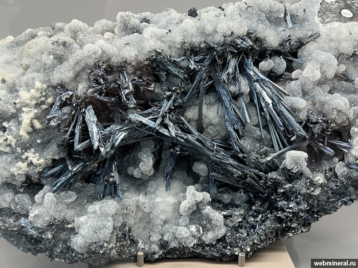 ���������� �������� ���������, �����. �������� (Sb) �������������.