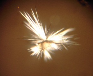 �����������. �������� ������. �������� � �������������. webmineral.ru