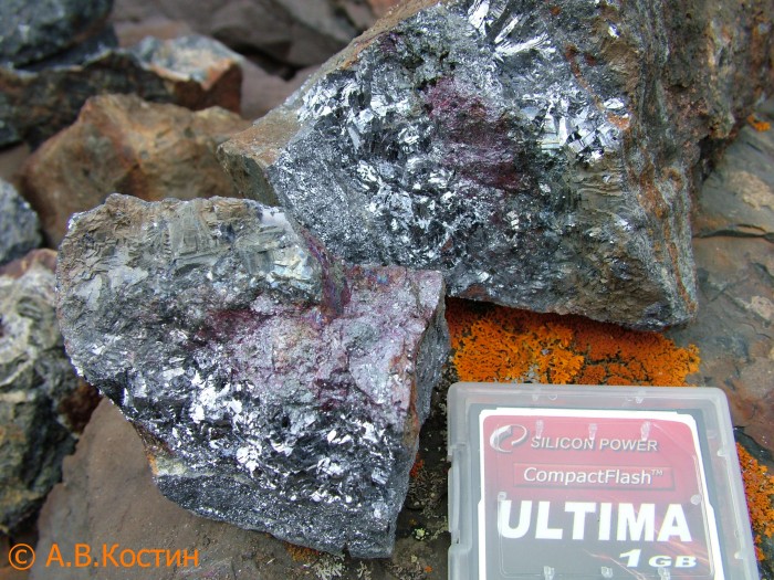 Фотография минерала Пираргирит, Галенит. Мангазейское (Ag) месторождение.