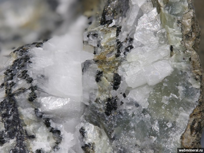 ���������� �������� ����������-(Fe2+), �������, ������. �������� ����� ������.