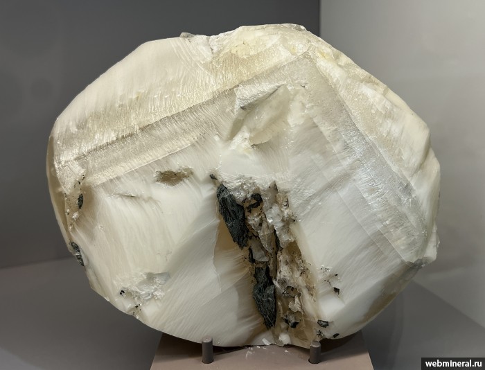 ���������� �������� �������. ����� �������������.