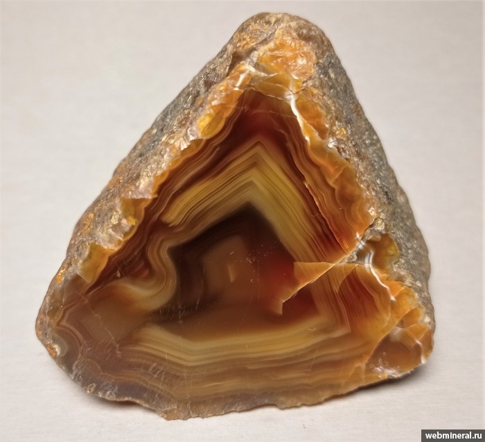 ���������� �������� ����� ����. (����). ��������� ������������� �����.