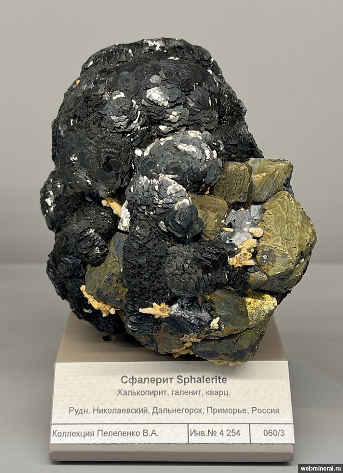 ���������� �������� ��������, �����������, �������, �����. ������������ ������.