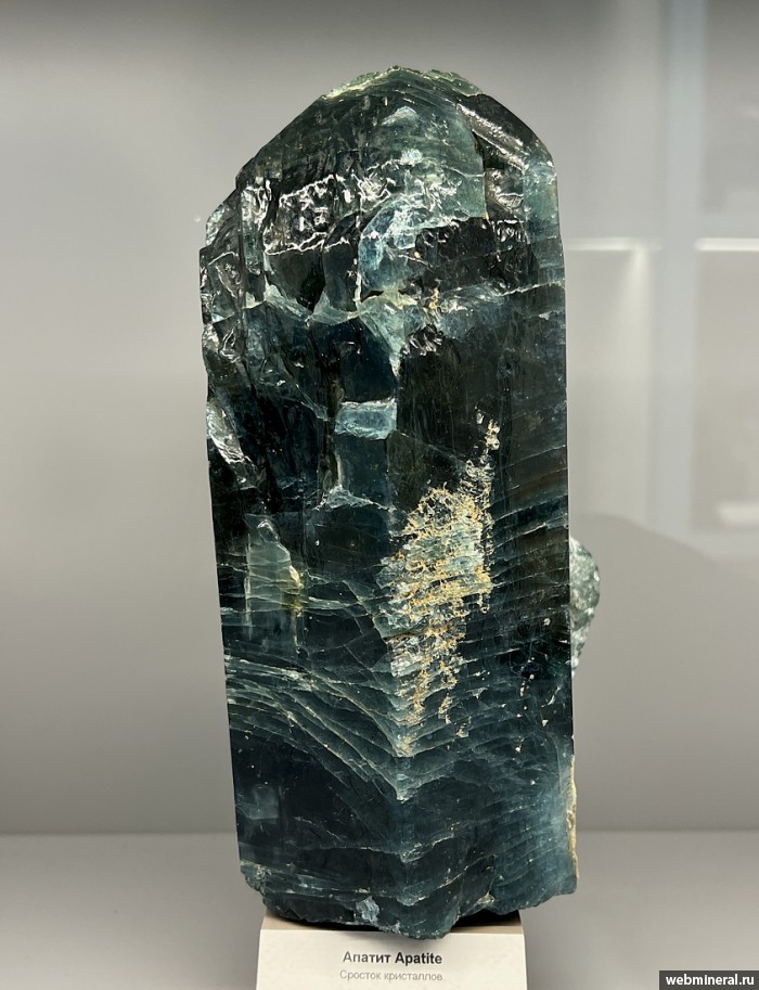 ���������� �������� ����������. ���������� ������������� ���������.