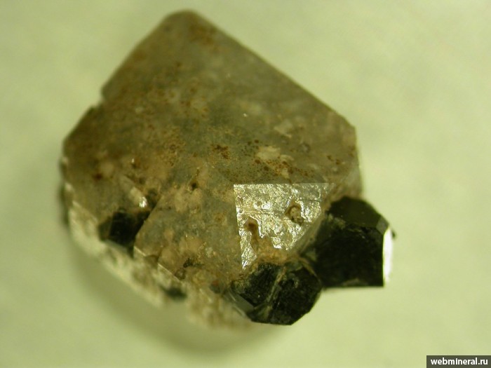 Фотография минерала Нептунит, Натролит. Пегматит № 45.
