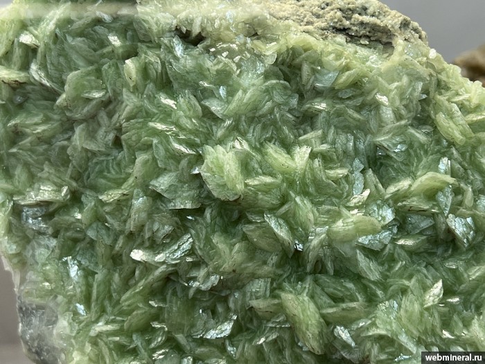 ���������� �������� �������. ���������� (Au) ������������� (������ ����).