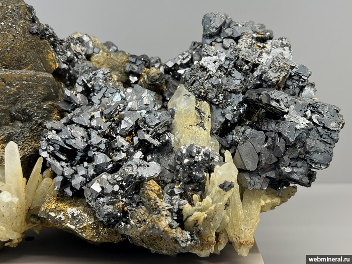 ���������� �������� ��������, �������, �����. ������������ ������.