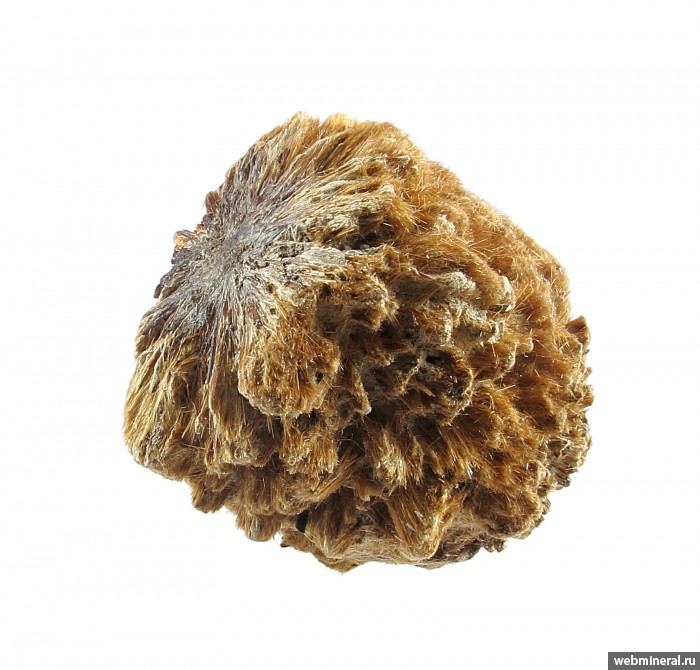 ���������� �������� �����������. ��� ��������.