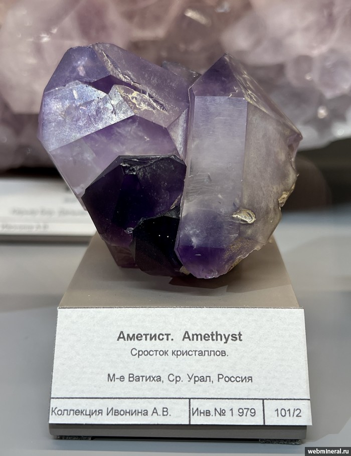 ���������� �������� ����� ����. (�������). ������ �������������.