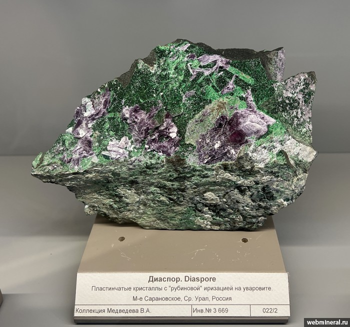 ���������� �������� �������, ��������. ������� ����������� (Cr) �������������.