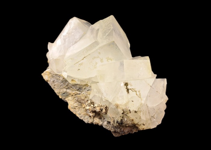 ���������� �������� �������, �����. ������������ ������.