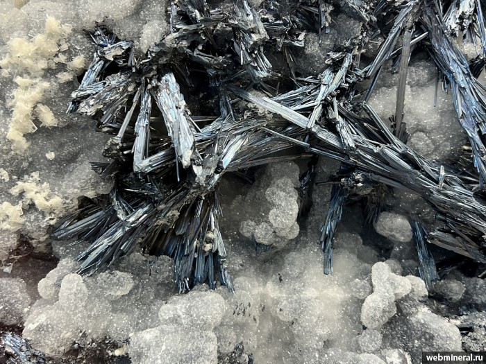 ���������� �������� ���������, �����. �������� (Sb) �������������.