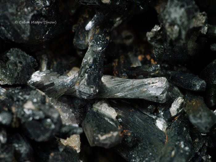   , . Qinglong, Guizhou, China ().