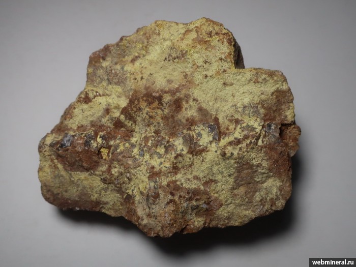 ���������� �������� �������������. ����������� (Mo) �������������.