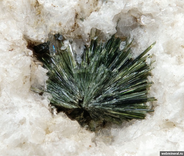 ���������� �������� ������, ������. �������� � 24 (����������).