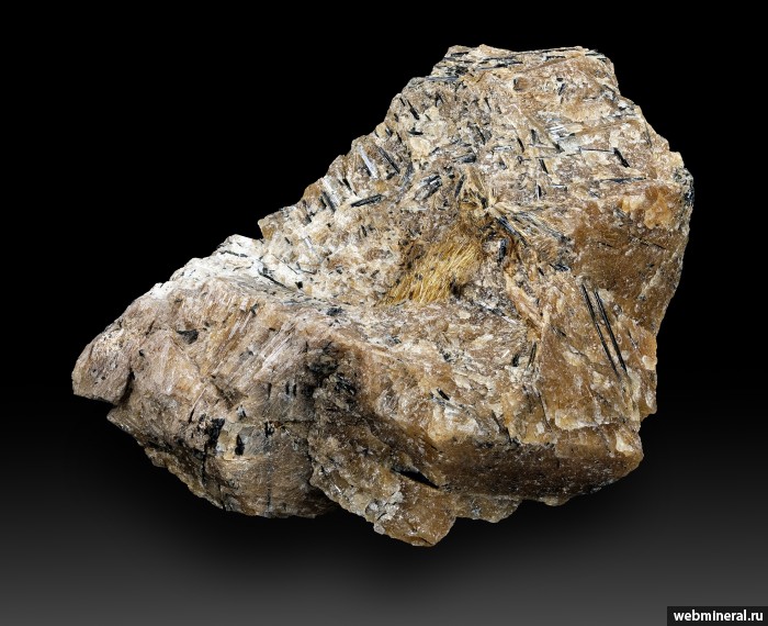 ���������� �������� �����������, ��������. ���� � 50.