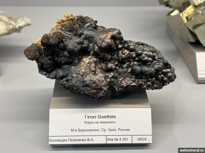 ���������� �������� ø���, �������. ���������� (Au) ������������� (������ ����).