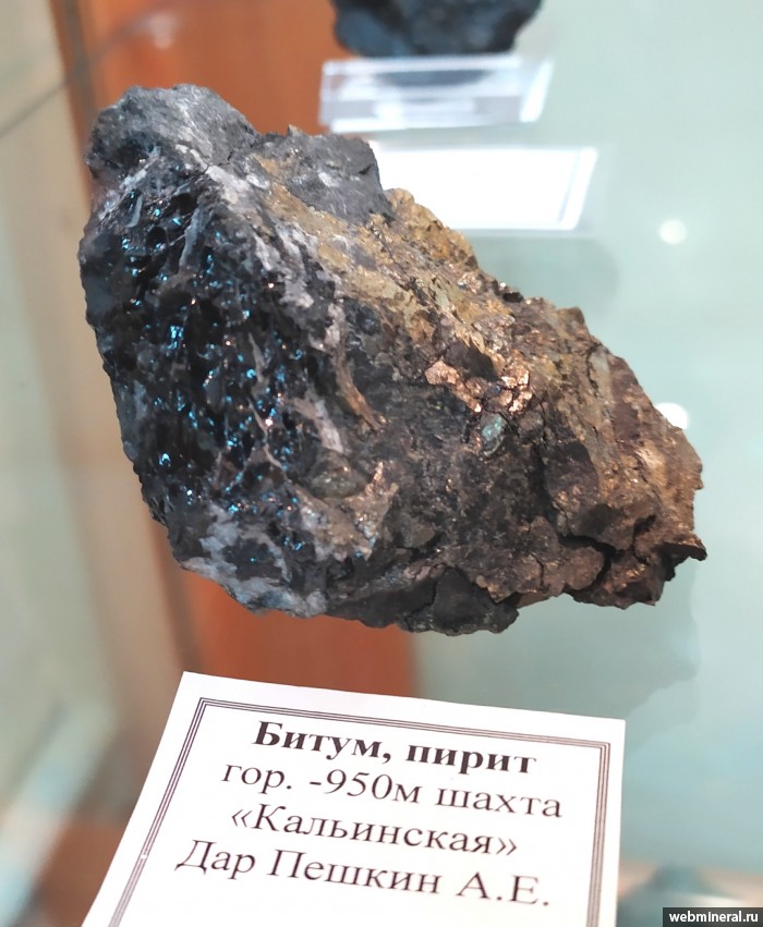 Фотография минерала Битум, Пирит. Кальинская шахта.